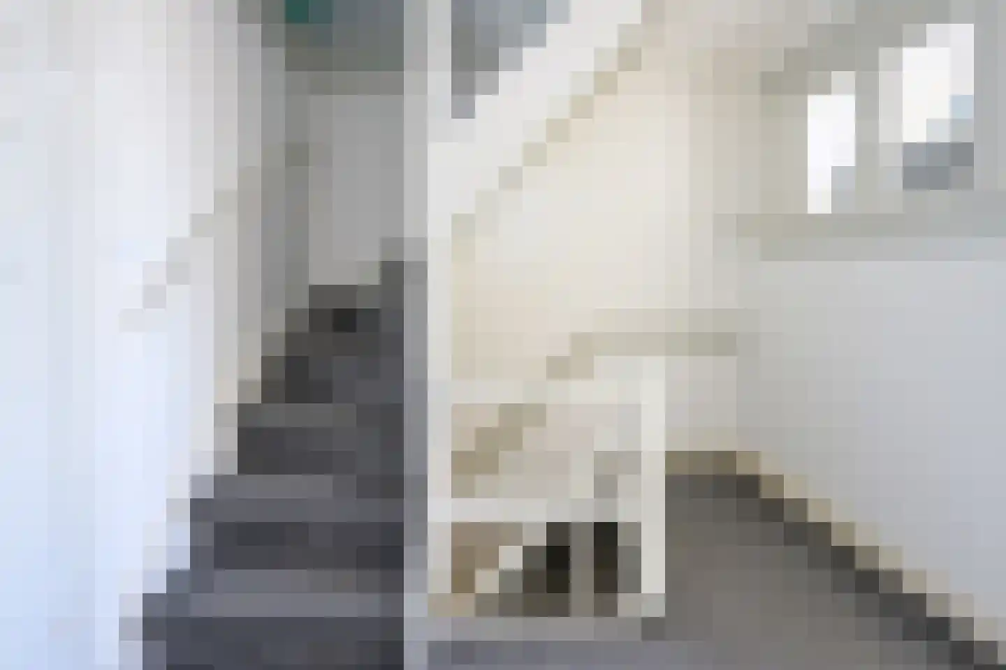 Meidoornlaan 10 Brummen thumbnail 21