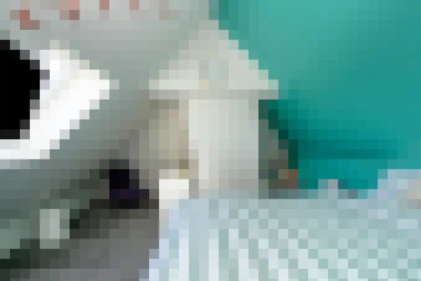 Meidoornlaan 10 Brummen thumbnail 22