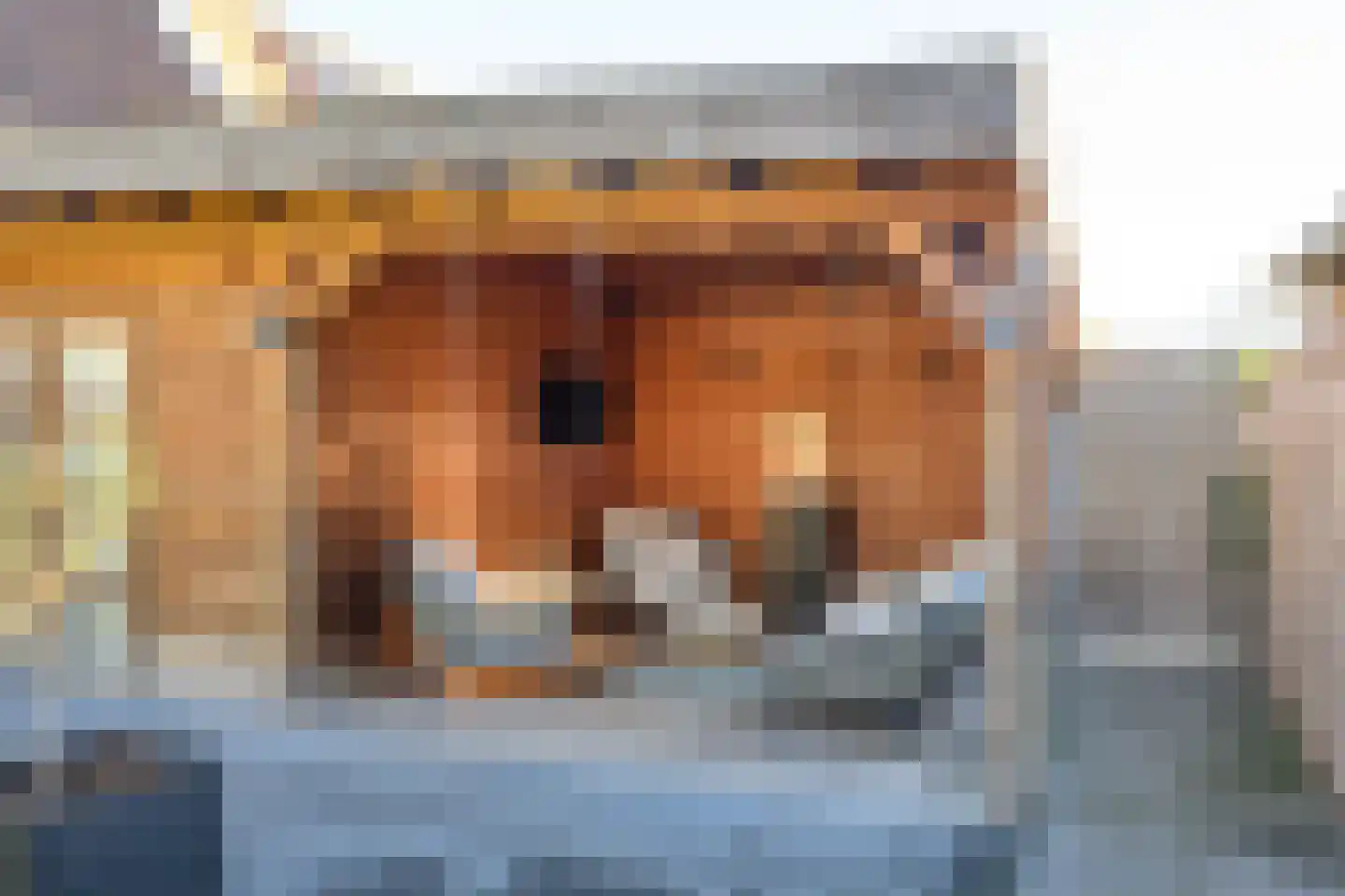 Meidoornlaan 10 Brummen thumbnail 26