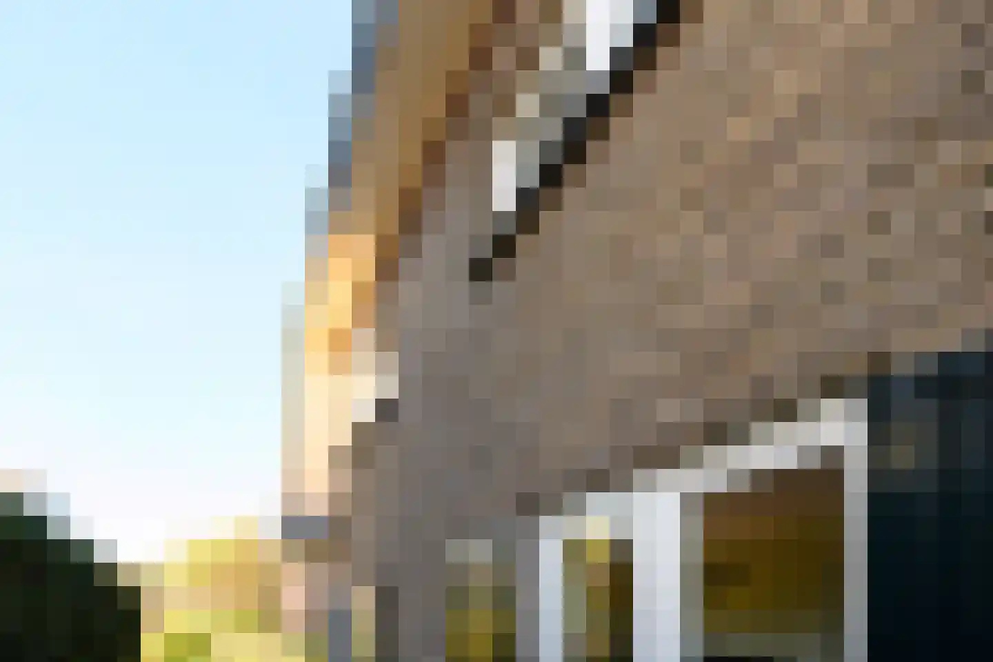 Meidoornlaan 10 Brummen thumbnail 33