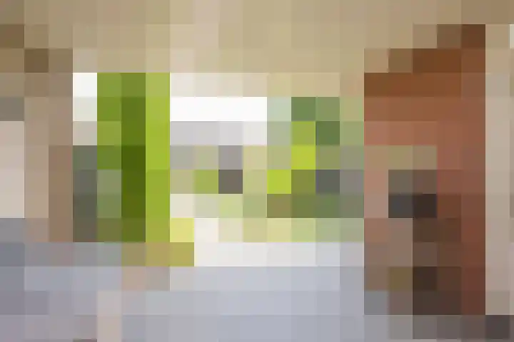 Meidoornlaan 10 Nijkerk thumbnail 29