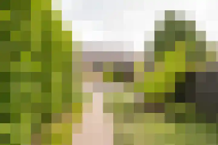 Meidoornlaan 10 Nijkerk thumbnail 31