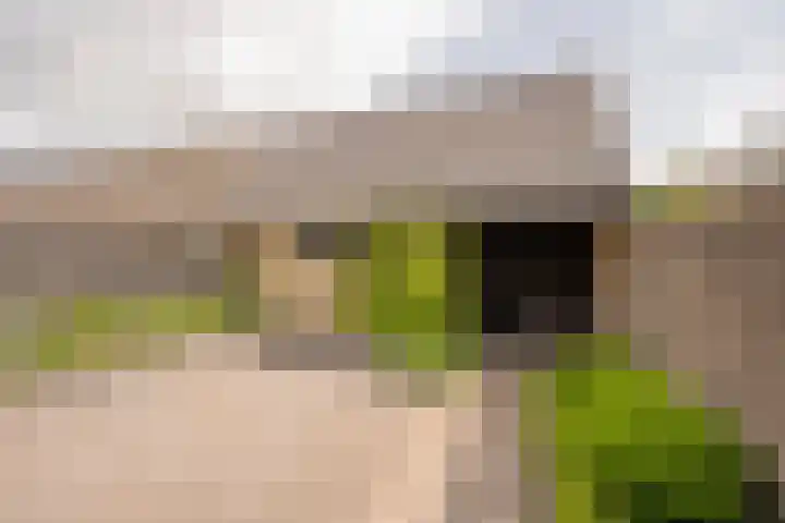 Meidoornlaan 10 Nijkerk thumbnail 32