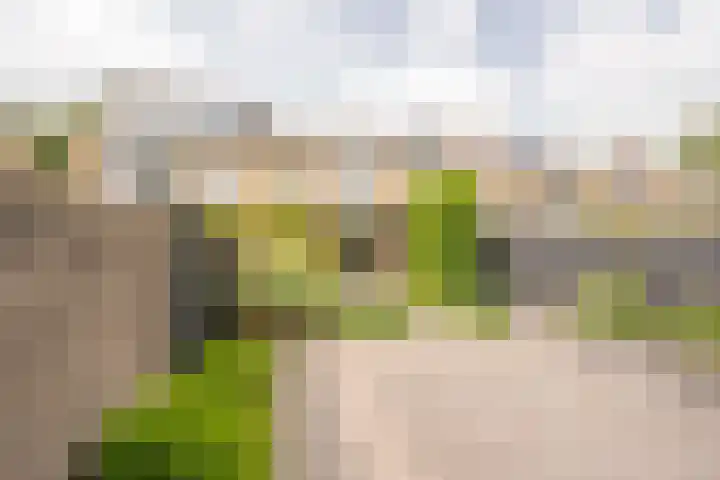 Meidoornlaan 10 Nijkerk thumbnail 33