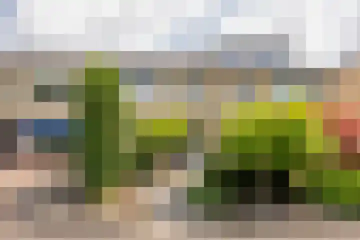 Meidoornlaan 10 Nijkerk thumbnail 37