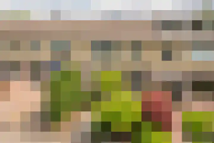 Meidoornlaan 10 Nijkerk thumbnail 38