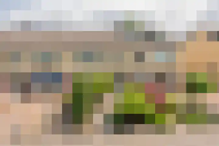 Meidoornlaan 10 Nijkerk thumbnail 40