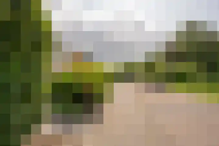 Meidoornlaan 10 Nijkerk thumbnail 41
