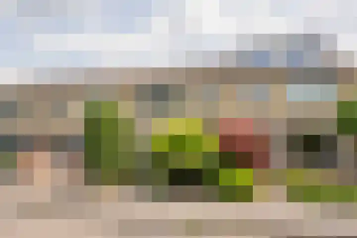 Meidoornlaan 10 Nijkerk thumbnail 47
