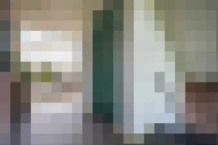 Meidoornlaan 102 Zoetermeer thumbnail 10