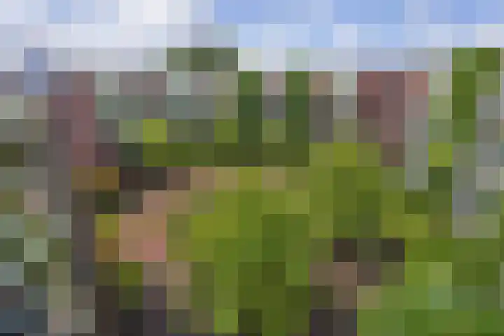 Meidoornlaan 102 Zoetermeer thumbnail 12