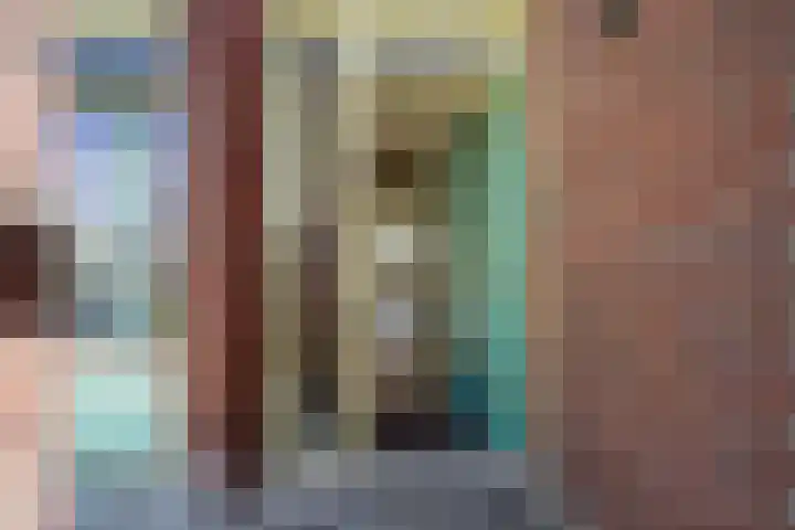 Meidoornlaan 102 Zoetermeer thumbnail 14