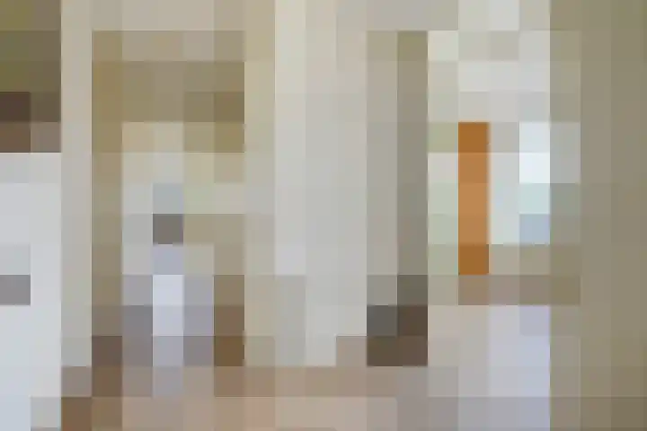 Meidoornlaan 102 Zoetermeer thumbnail 16