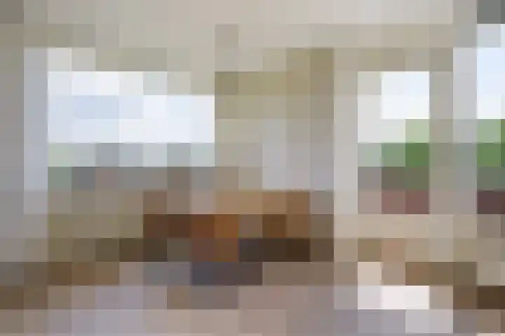 Meidoornlaan 102 Zoetermeer thumbnail 21