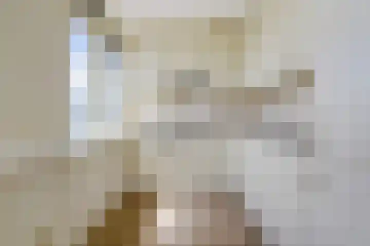 Meidoornlaan 102 Zoetermeer thumbnail 25