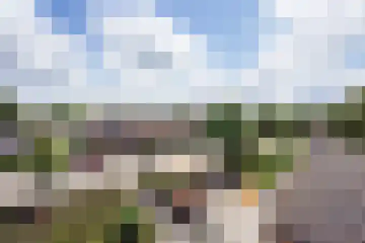 Meidoornlaan 102 Zoetermeer thumbnail 27