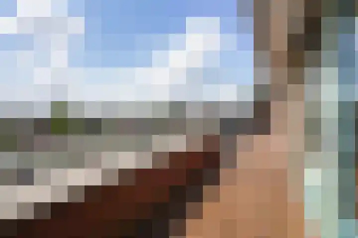Meidoornlaan 102 Zoetermeer thumbnail 33