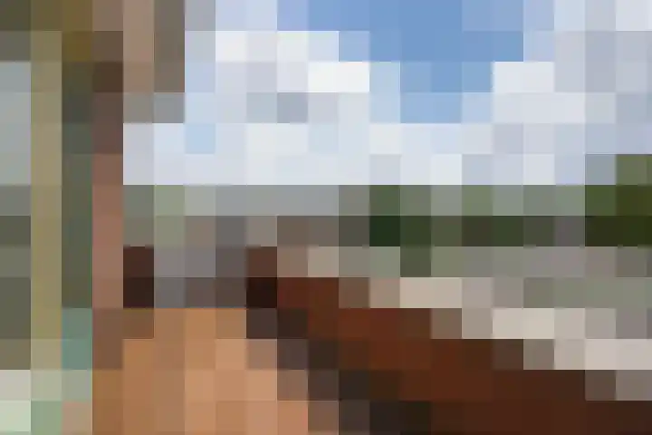 Meidoornlaan 102 Zoetermeer thumbnail 34