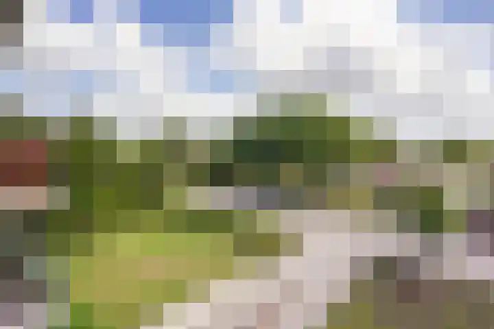 Meidoornlaan 102 Zoetermeer thumbnail 35