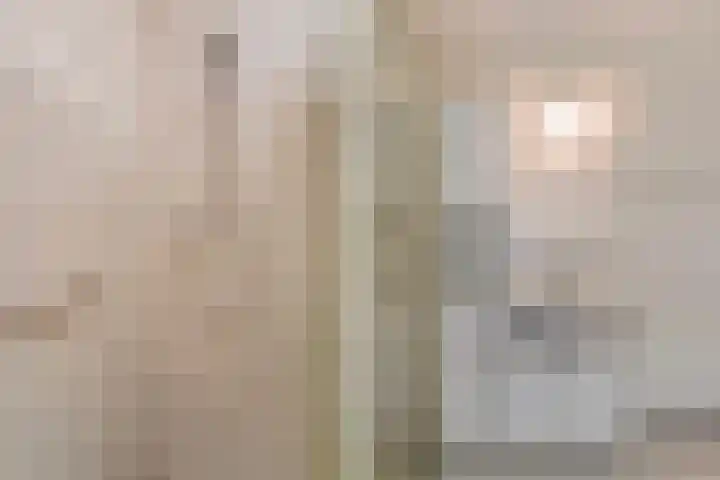 Meidoornlaan 102 Zoetermeer thumbnail 39