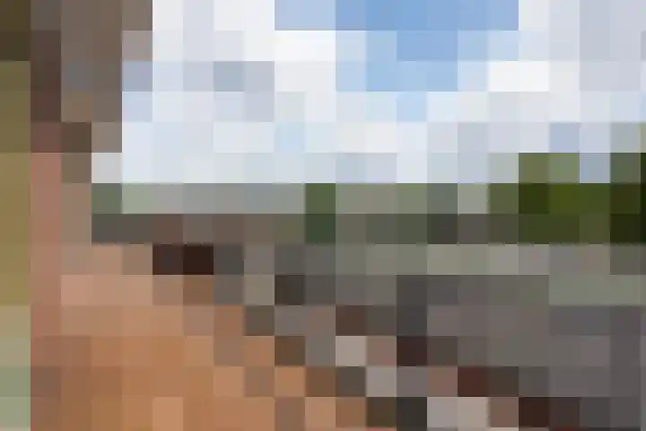 Meidoornlaan 102 Zoetermeer thumbnail 4