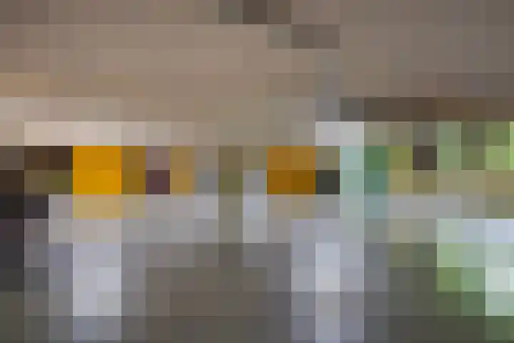 Meidoornlaan 102 Zoetermeer thumbnail 40