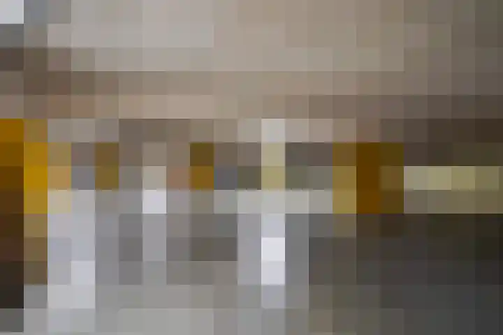 Meidoornlaan 102 Zoetermeer thumbnail 41