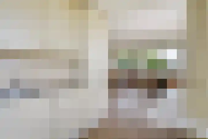 Meidoornlaan 102 Zoetermeer thumbnail 5