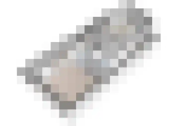 Meidoornlaan 102 Zoetermeer thumbnail 51
