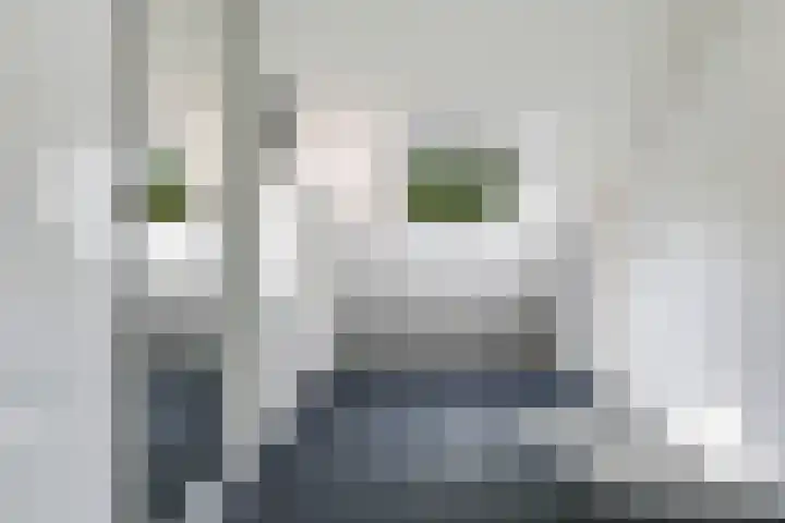 Meidoornlaan 11 Doetinchem thumbnail 30