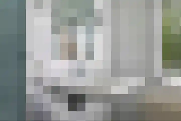 Meidoornlaan 11 Doetinchem thumbnail 41