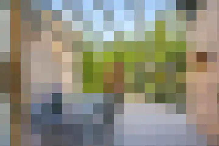 Meidoornlaan 11 Doetinchem thumbnail 46