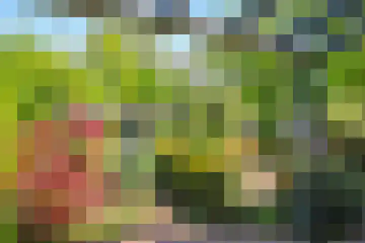 Meidoornlaan 11 Doetinchem thumbnail 47