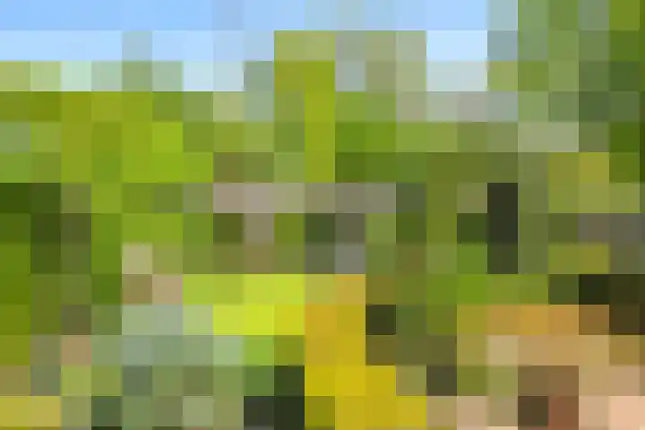 Meidoornlaan 11 Doetinchem thumbnail 48