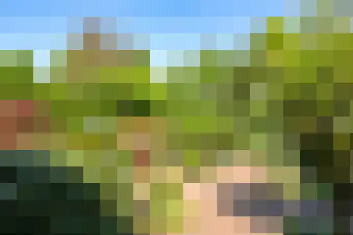 Meidoornlaan 11 Doetinchem thumbnail 49