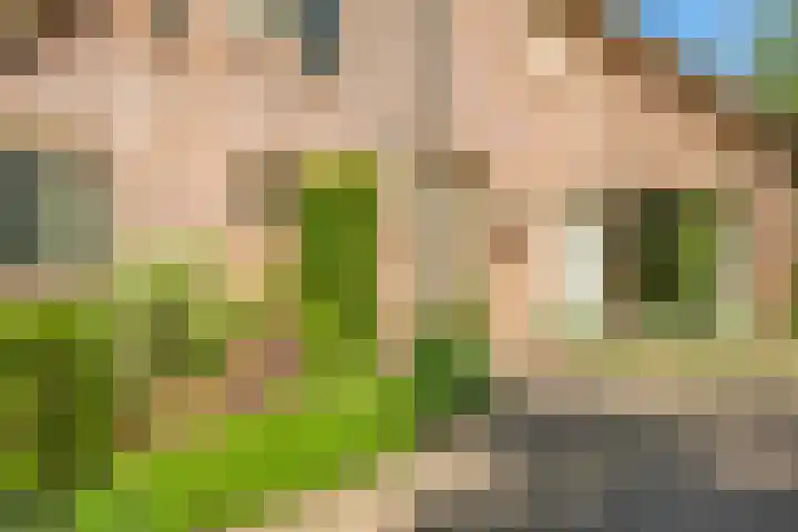 Meidoornlaan 11 Doetinchem thumbnail 5