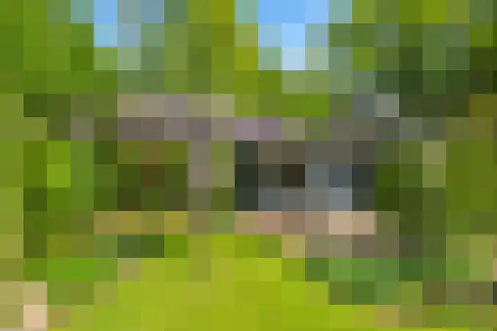 Meidoornlaan 11 Doetinchem thumbnail 50