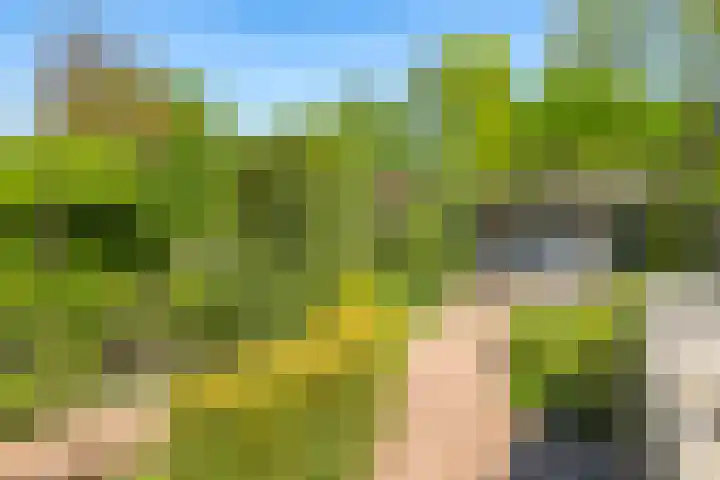 Meidoornlaan 11 Doetinchem thumbnail 51