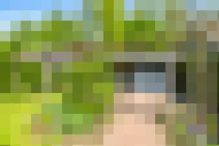 Meidoornlaan 11 Doetinchem thumbnail 52