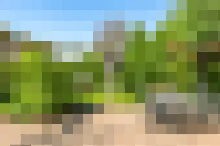Meidoornlaan 11 Doetinchem thumbnail 54