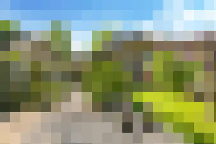 Meidoornlaan 11 Doetinchem thumbnail 55