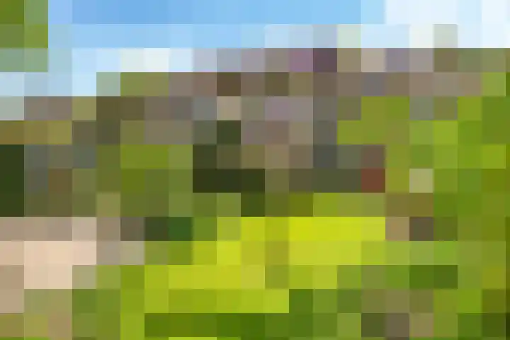 Meidoornlaan 11 Doetinchem thumbnail 56