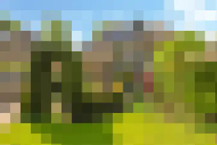 Meidoornlaan 11 Doetinchem thumbnail 57