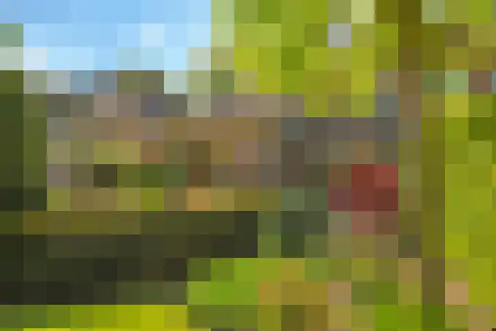 Meidoornlaan 11 Doetinchem thumbnail 58