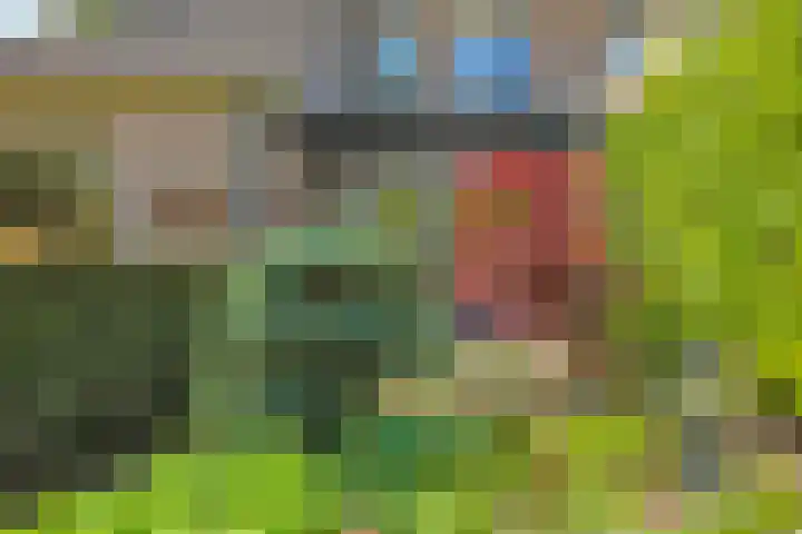 Meidoornlaan 11 Doetinchem thumbnail 59