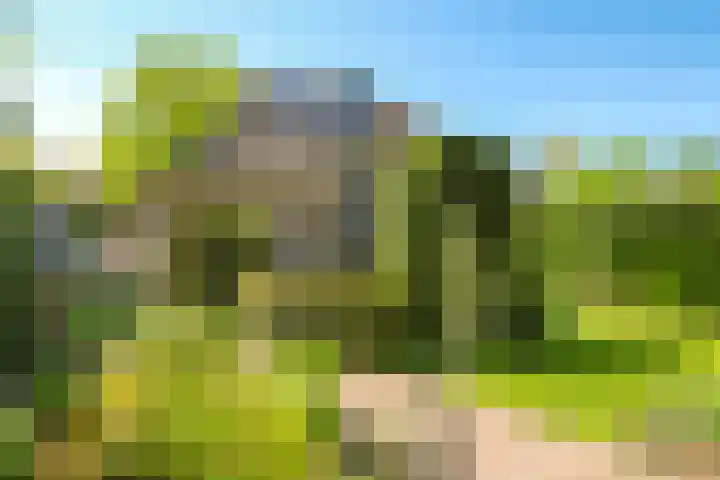 Meidoornlaan 11 Doetinchem thumbnail 61