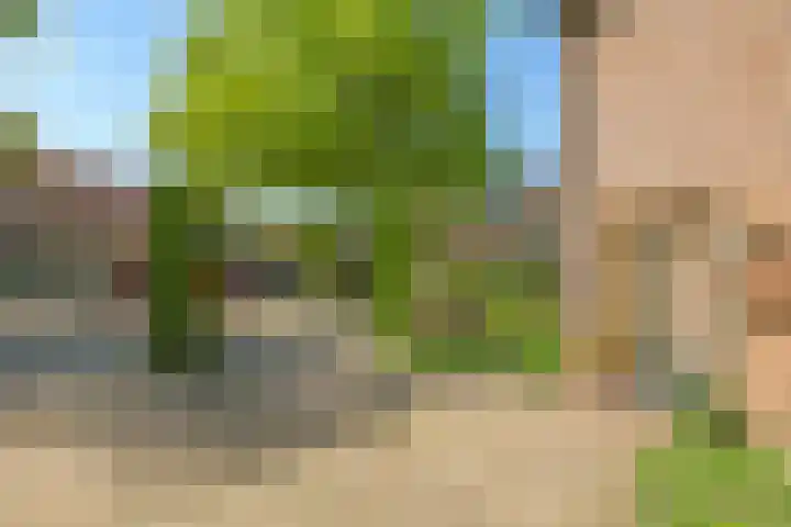 Meidoornlaan 11 Doetinchem thumbnail 63