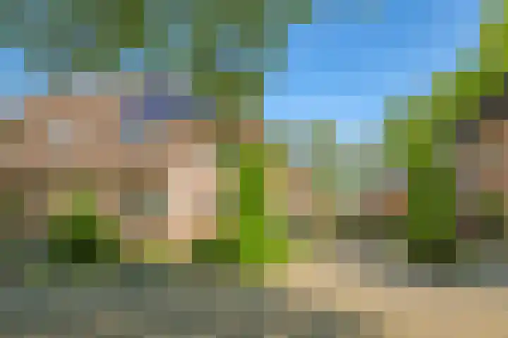 Meidoornlaan 11 Doetinchem thumbnail 65