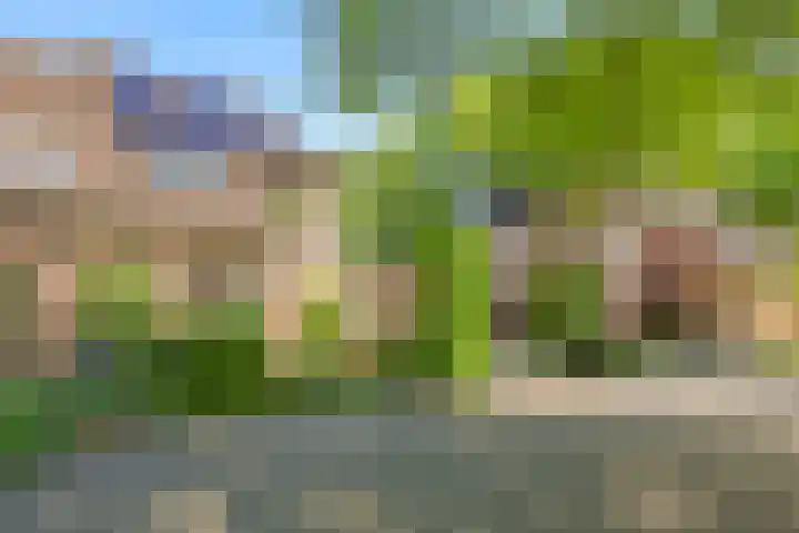 Meidoornlaan 11 Doetinchem thumbnail 66