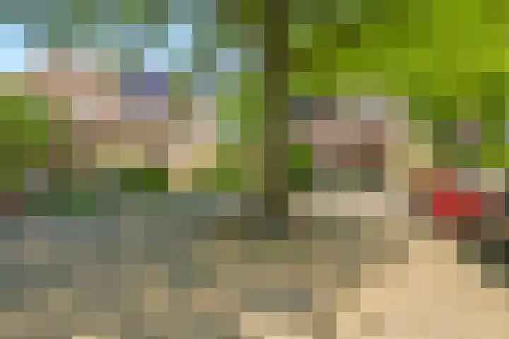 Meidoornlaan 11 Doetinchem thumbnail 67